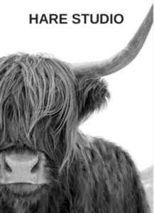 JessicaHare logo 217x300